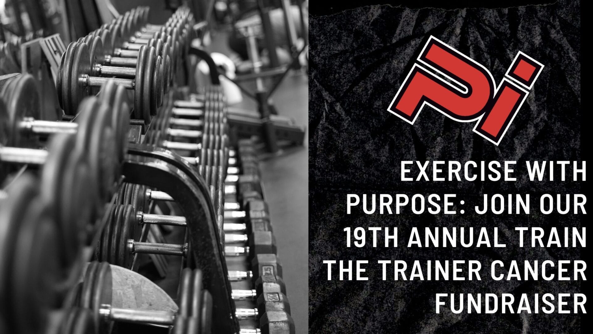 PI Video Template 47